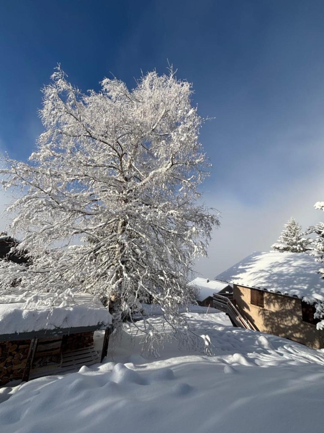 Chalet Rouge ou Blanc Villard-Reculas Extérieur photo